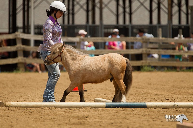 4H-2nd-Show-11_1530.jpg