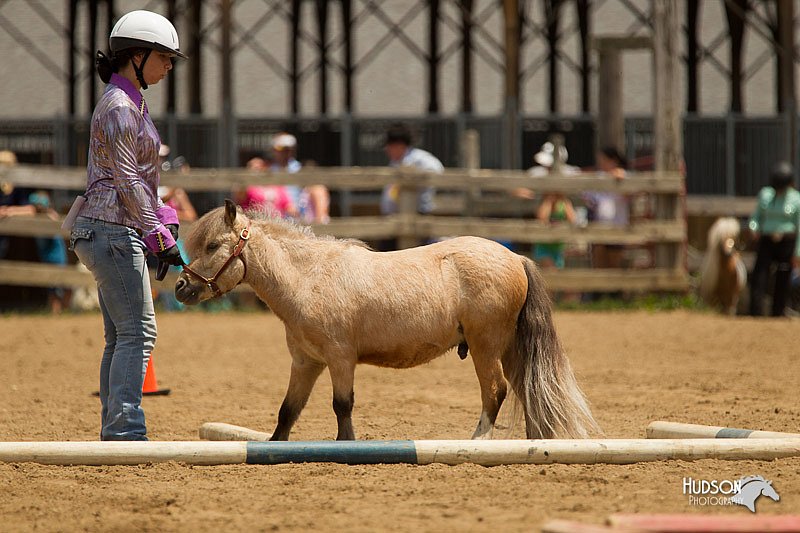 4H-2nd-Show-11_1531.jpg