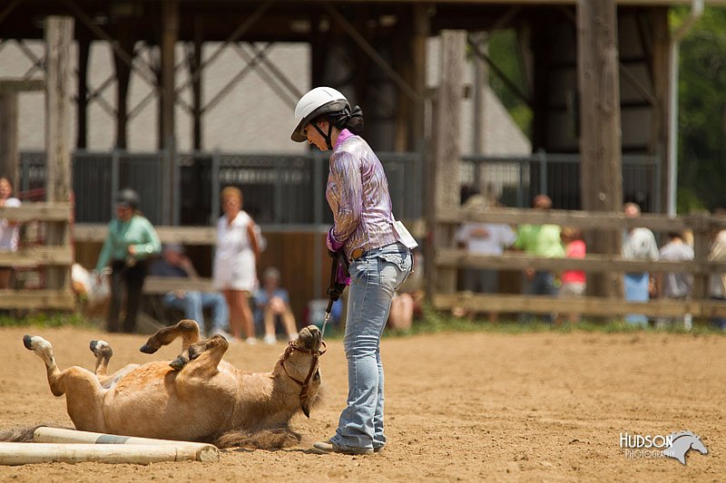 4H-2nd-Show-11_1534.jpg