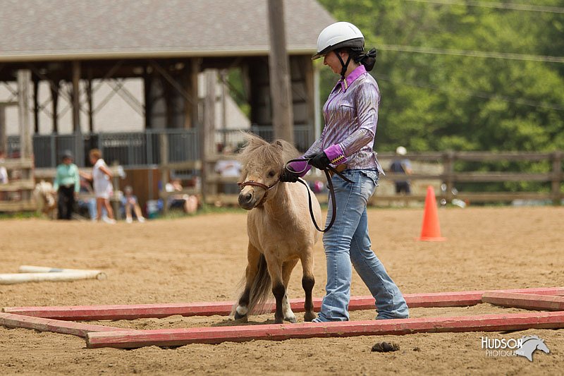 4H-2nd-Show-11_1543.jpg