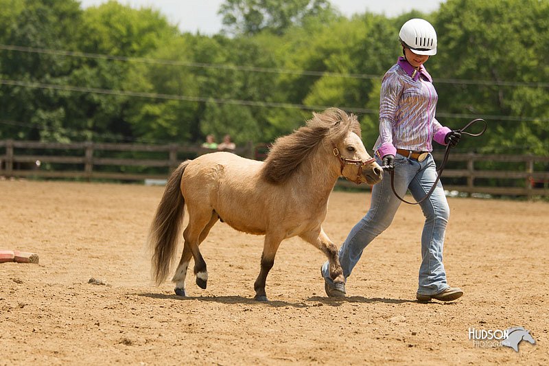 4H-2nd-Show-11_1545.jpg