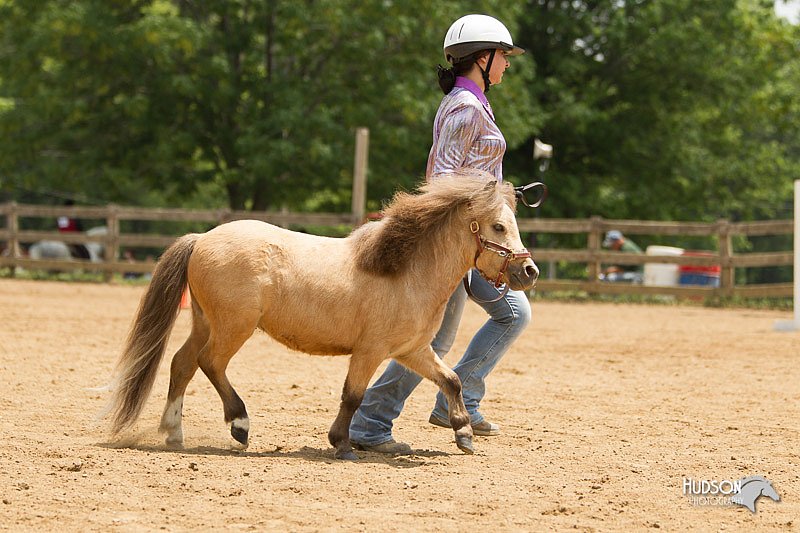 4H-2nd-Show-11_1546.jpg