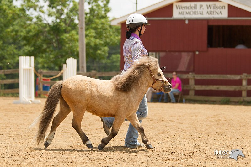 4H-2nd-Show-11_1547.jpg