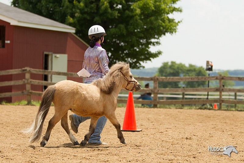 4H-2nd-Show-11_1548.jpg