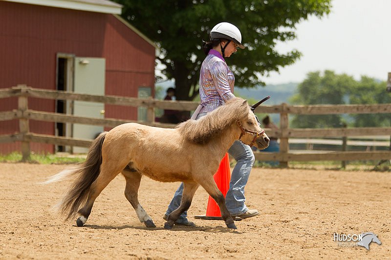 4H-2nd-Show-11_1550.jpg