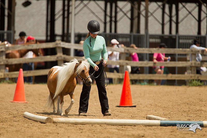 4H-2nd-Show-11_1552.jpg