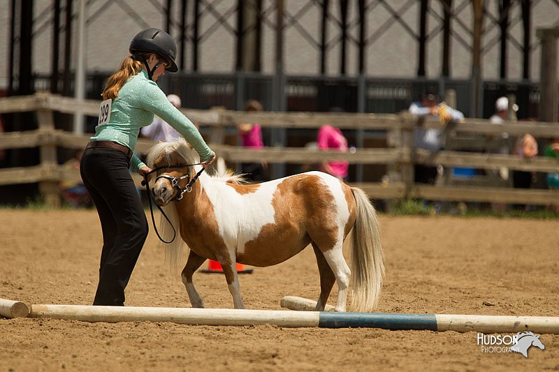 4H-2nd-Show-11_1554.jpg
