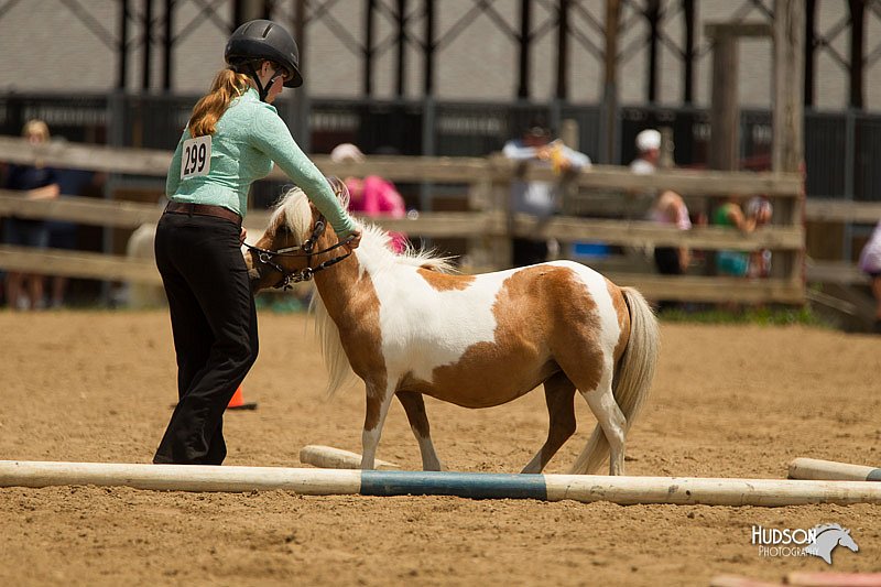 4H-2nd-Show-11_1555.jpg