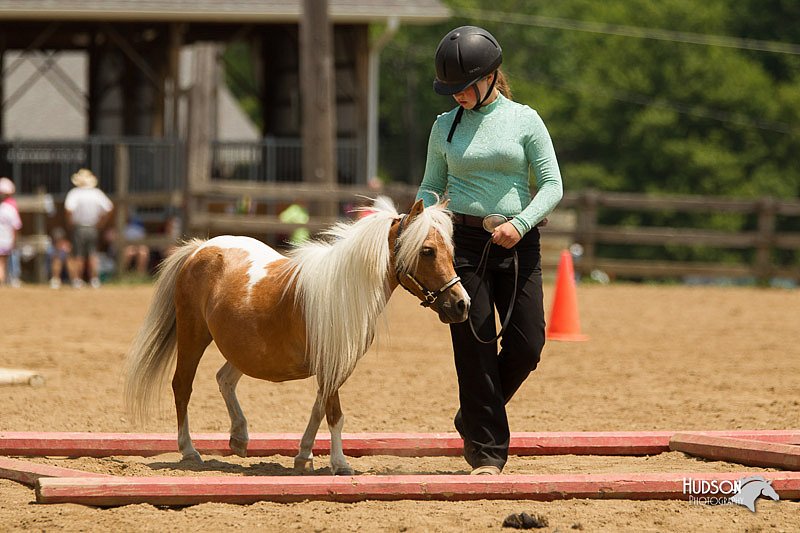 4H-2nd-Show-11_1561.jpg