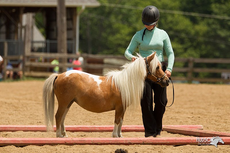 4H-2nd-Show-11_1562.jpg