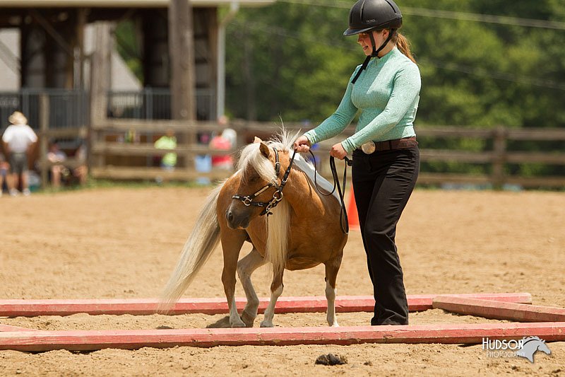 4H-2nd-Show-11_1563.jpg