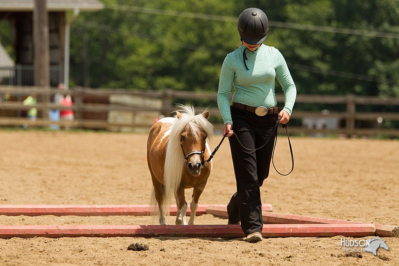 4H-2nd-Show-11_1564.jpg