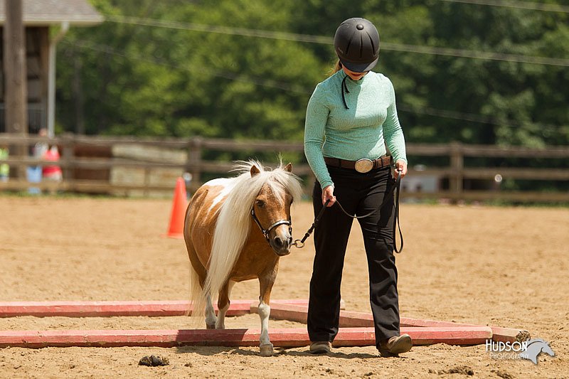 4H-2nd-Show-11_1565.jpg