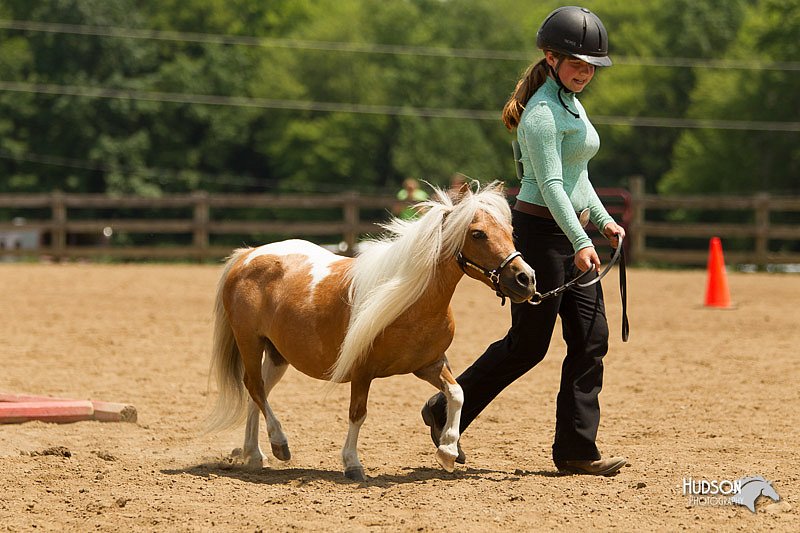 4H-2nd-Show-11_1566.jpg