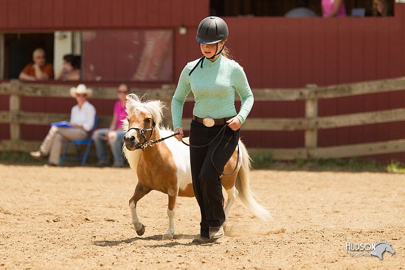4H-2nd-Show-11_1567.jpg