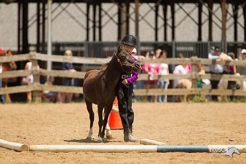 4H-2nd-Show-11_1571.jpg
