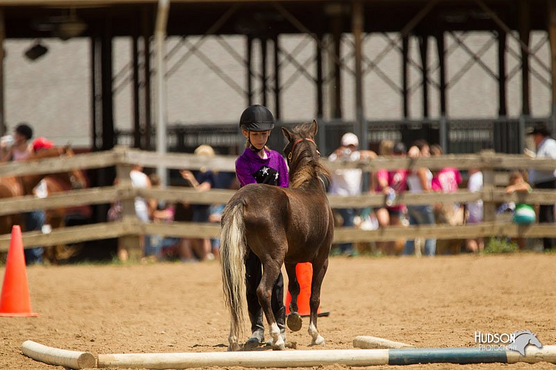 4H-2nd-Show-11_1572.jpg