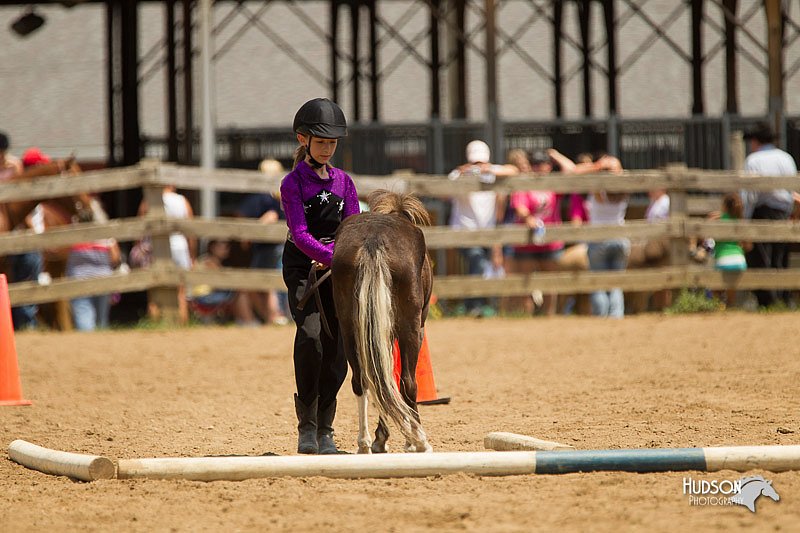 4H-2nd-Show-11_1573.jpg