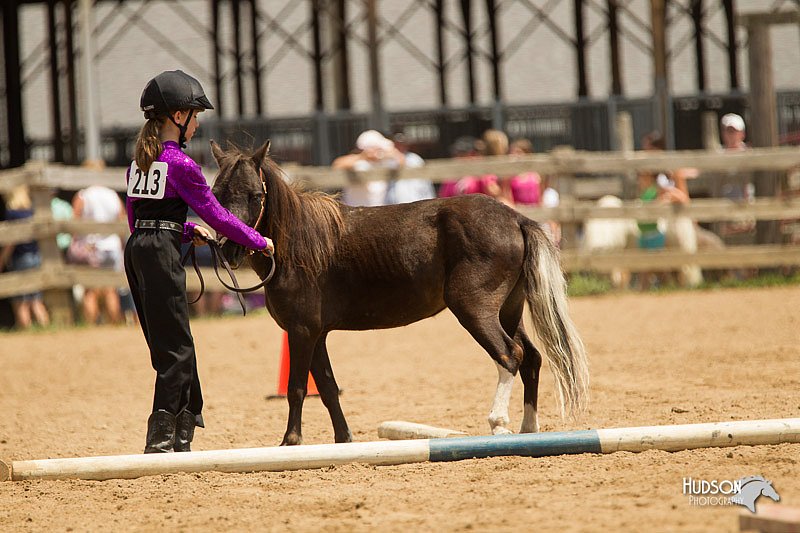 4H-2nd-Show-11_1574.jpg