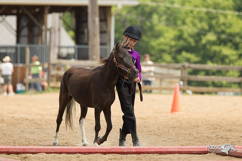 4H-2nd-Show-11_1576.jpg