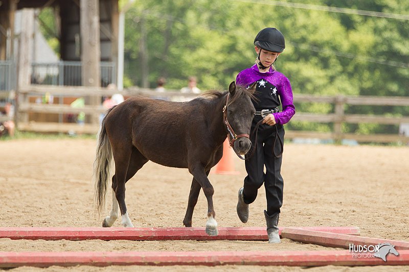 4H-2nd-Show-11_1578.jpg