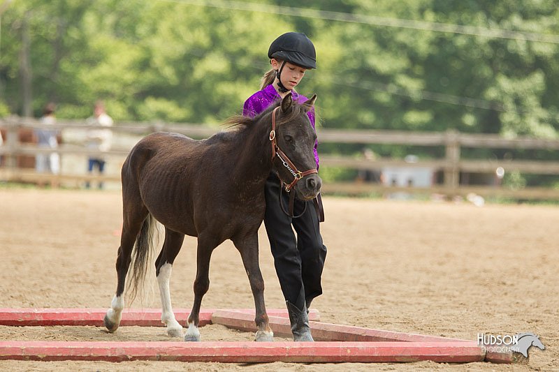 4H-2nd-Show-11_1579.jpg