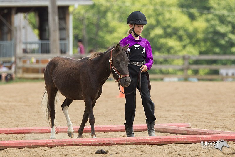 4H-2nd-Show-11_1581.jpg