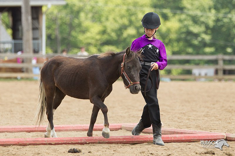 4H-2nd-Show-11_1582.jpg