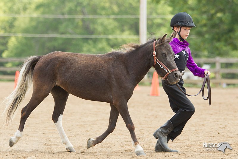 4H-2nd-Show-11_1584.jpg