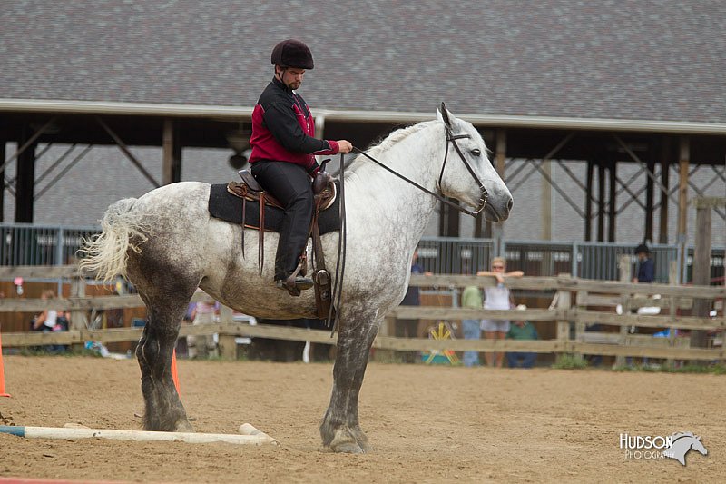 4H-2nd-Show-11_1650.jpg