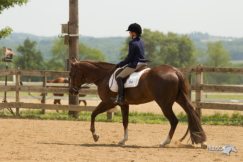 4H-2nd-Show-11_1698.jpg