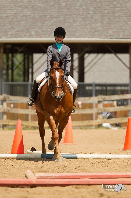 4H-2nd-Show-11_1699.jpg