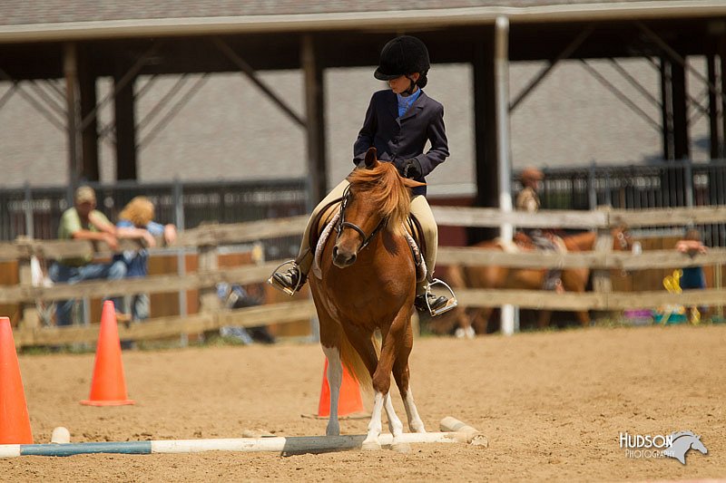 4H-2nd-Show-11_1720.jpg