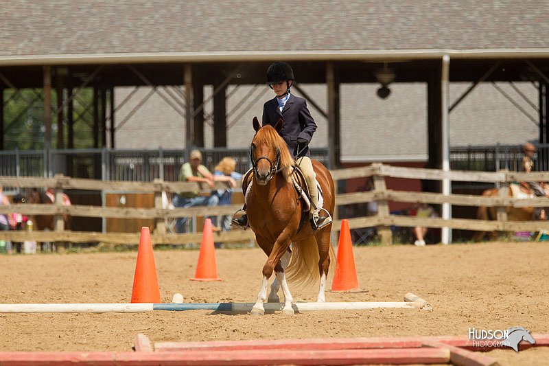 4H-2nd-Show-11_1721.jpg