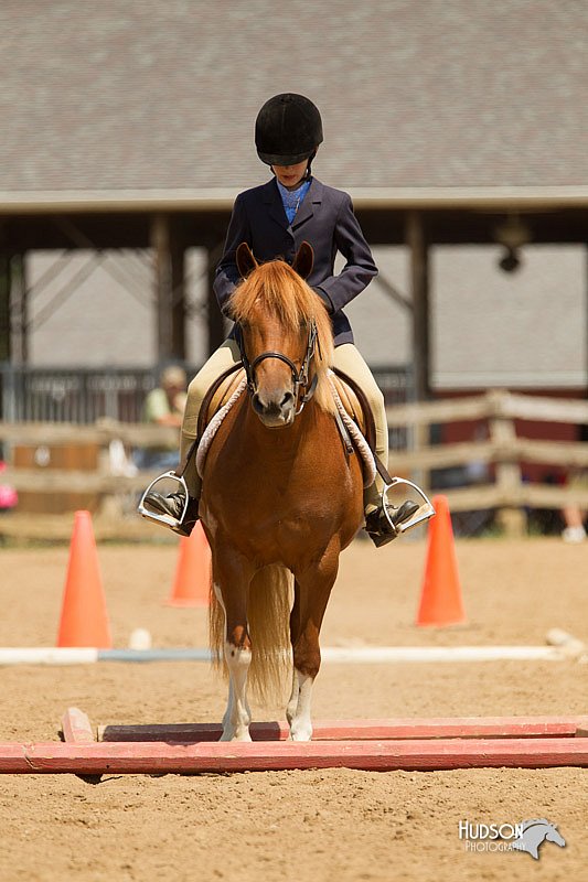 4H-2nd-Show-11_1724.jpg