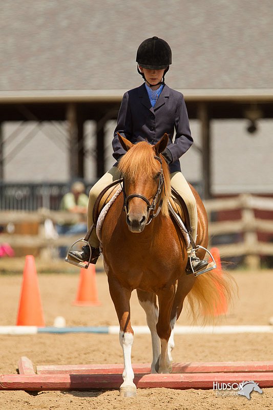 4H-2nd-Show-11_1725.jpg