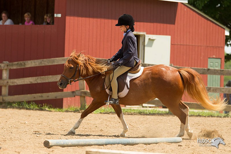 4H-2nd-Show-11_1728.jpg