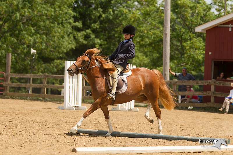 4H-2nd-Show-11_1729.jpg
