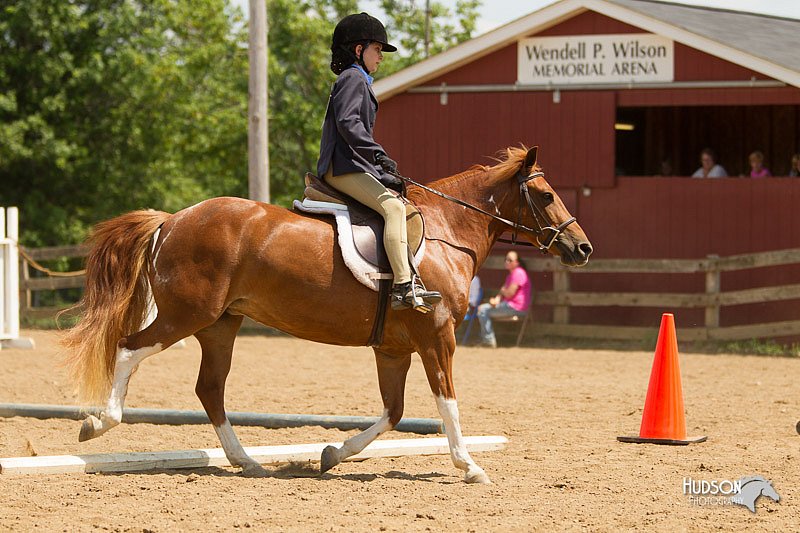 4H-2nd-Show-11_1730.jpg