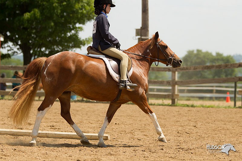 4H-2nd-Show-11_1731.jpg