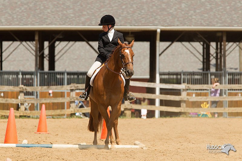 4H-2nd-Show-11_1750.jpg