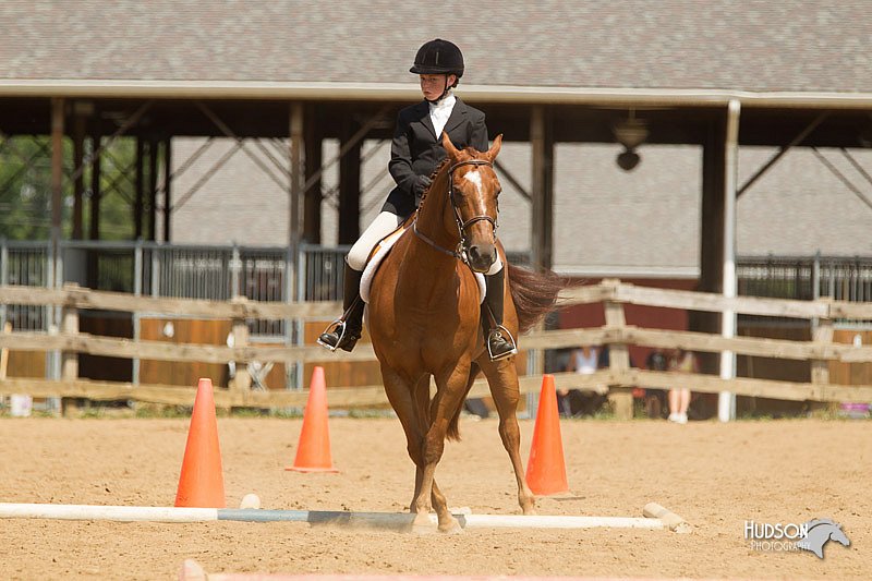 4H-2nd-Show-11_1751.jpg
