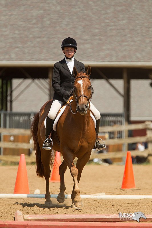 4H-2nd-Show-11_1752.jpg