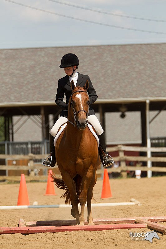 4H-2nd-Show-11_1754.jpg