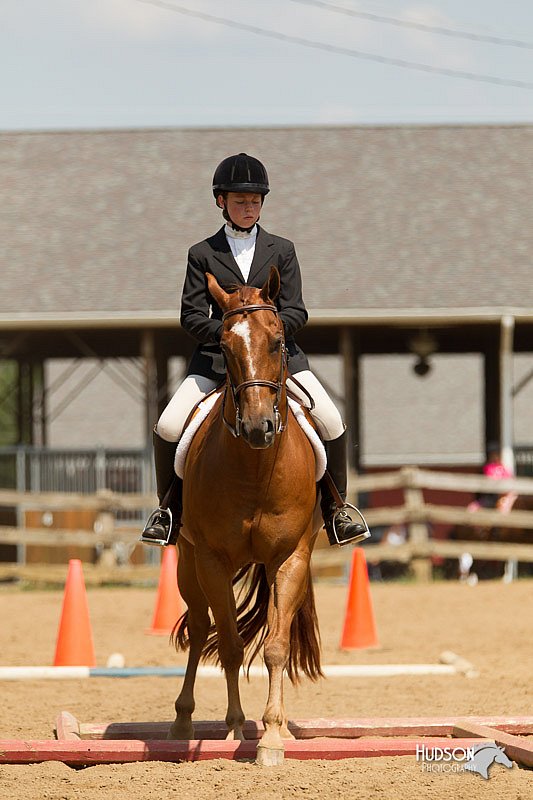 4H-2nd-Show-11_1755.jpg