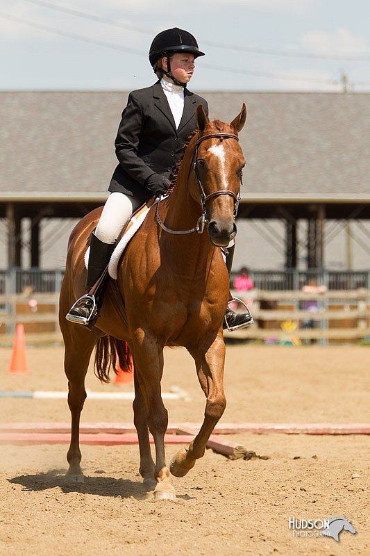 4H-2nd-Show-11_1756.jpg