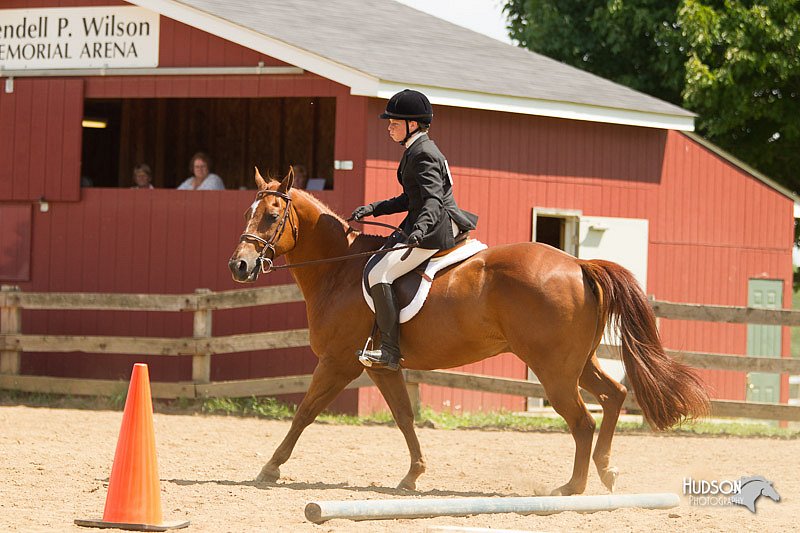 4H-2nd-Show-11_1757.jpg
