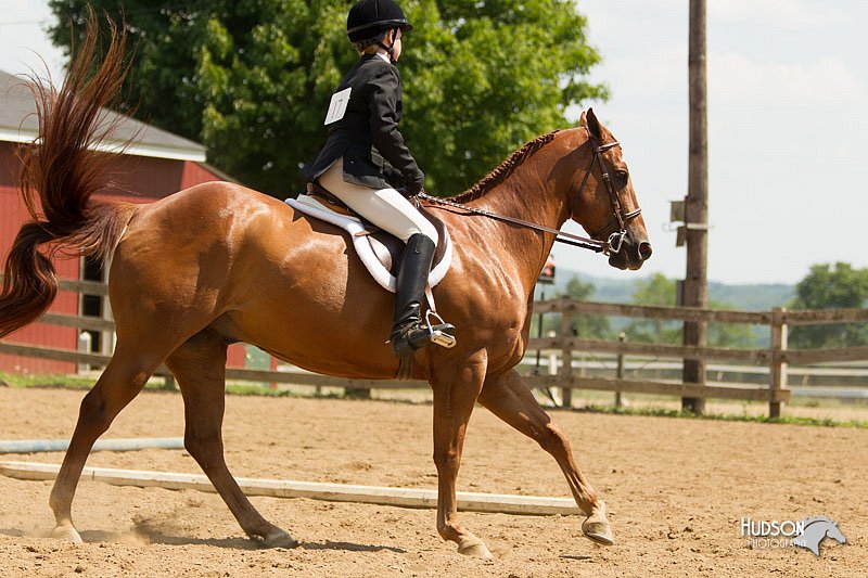 4H-2nd-Show-11_1760.jpg