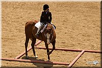 4H-2nd-Show-11_1465.jpg