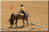 4H-2nd-Show-11_1467.jpg